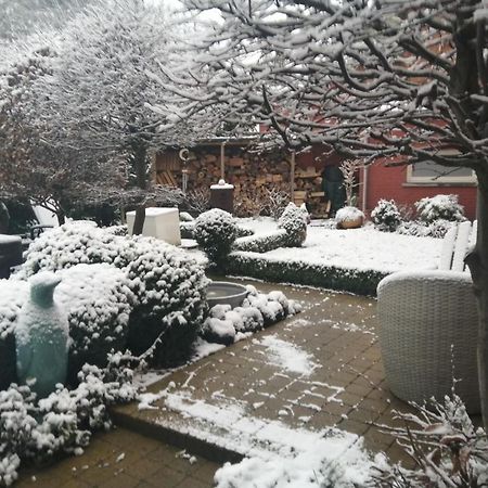 Adamas B&B Dendermonde Zewnętrze zdjęcie