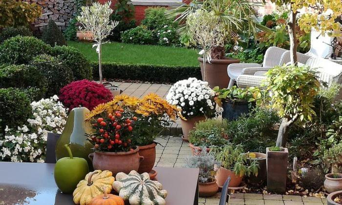 Adamas B&B Dendermonde Zewnętrze zdjęcie